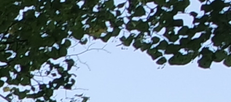 Samsung 16-50mm 1:3.5-5.6 ED OIS Power Zoom