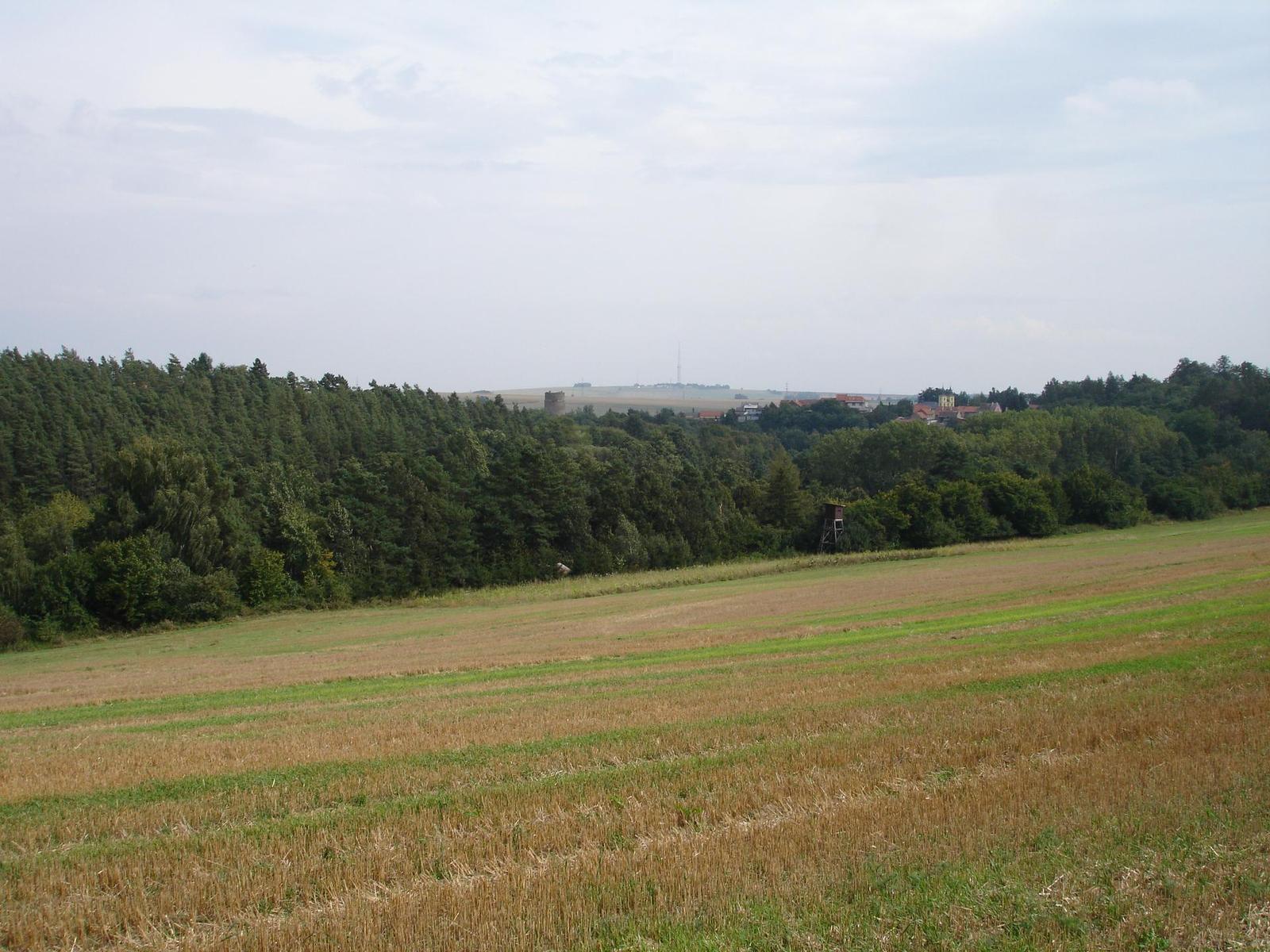 Sony Cyber-shot DSC-P200: Půlkruhová sedmička