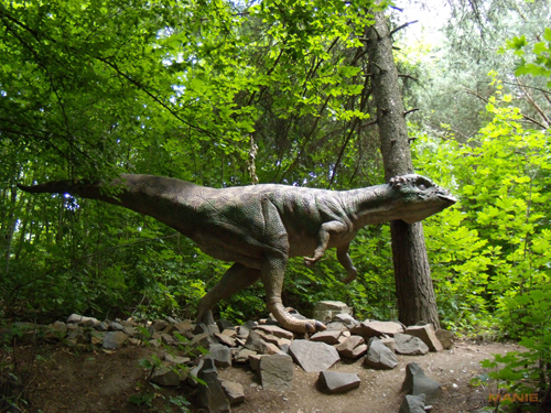 Nikon Coolpix P60: rychlý maratonec