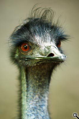 Cesta ke kvalitní fotografii: 1.díl