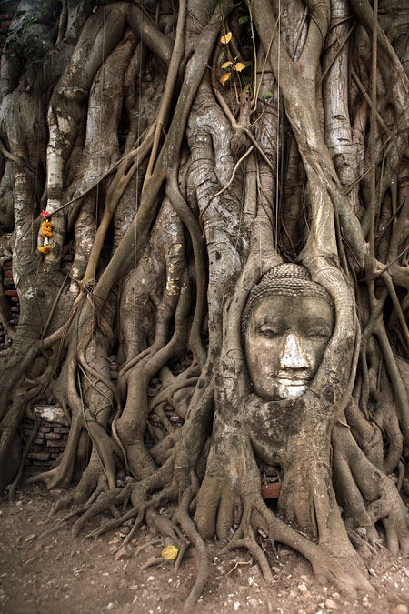 S fotoaparátem po Thajsku: III.