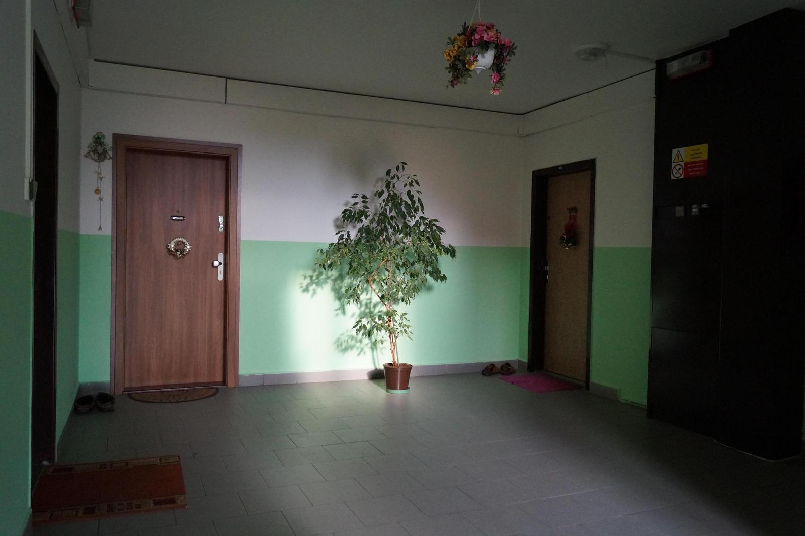 Sony SLT-A58: silný základ