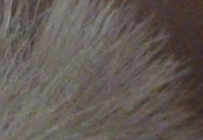 Nokia N9: nástupce fotomobilové legendy?