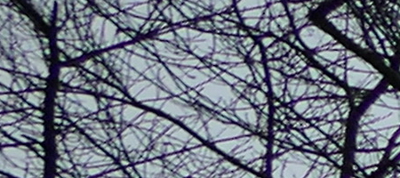 Panasonic Lumix FZ1000: legenda je zpátky