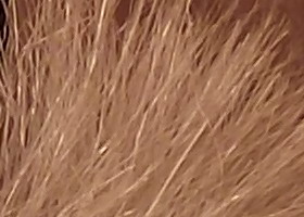 Fujifilm FinePix T200: nejlevnější ultrazoom Fuji