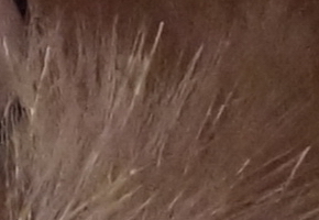 Sony a3000 (ILCE-3000): CSC co nejlevněji