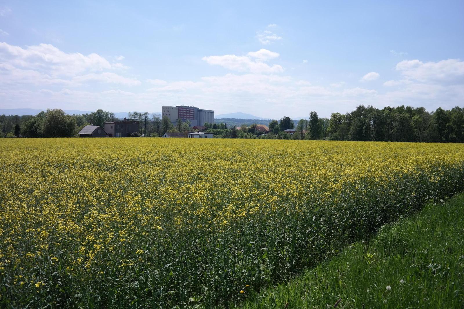 Samsung NX300: spousta kroků vpřed, jeden vzad