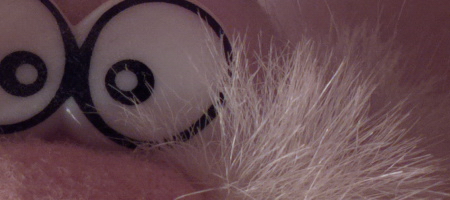 Nokia Lumia 1020 vs. 808 PureView