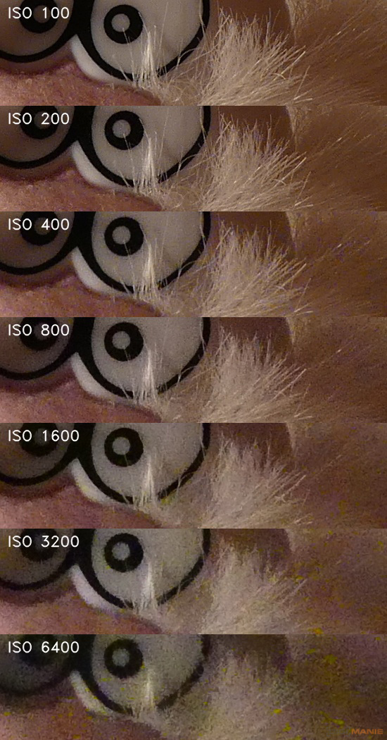 Panasonic Lumix FZ300: opět na špici