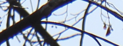 Megatest ultrazoomových objektivů