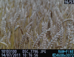 Nikon D3100: základ nabídky DSLR