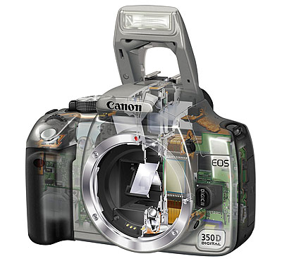 Canon EOS350D pod drobnohledem