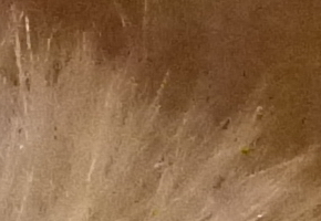 Panasonic Lumix FZ200: ultrazoomové překvapení roku