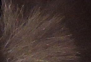 Nikon Coolpix P330: do vyšších sfér