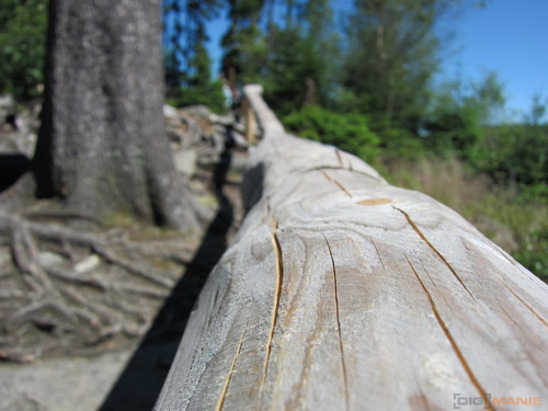 Canon IXUS 300 HS: superstylovka i pro náročné