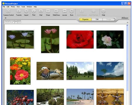 Coolpix L3: levný automat v praxi