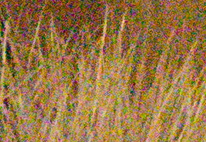 Sony NEX-7: správná (r)evoluce