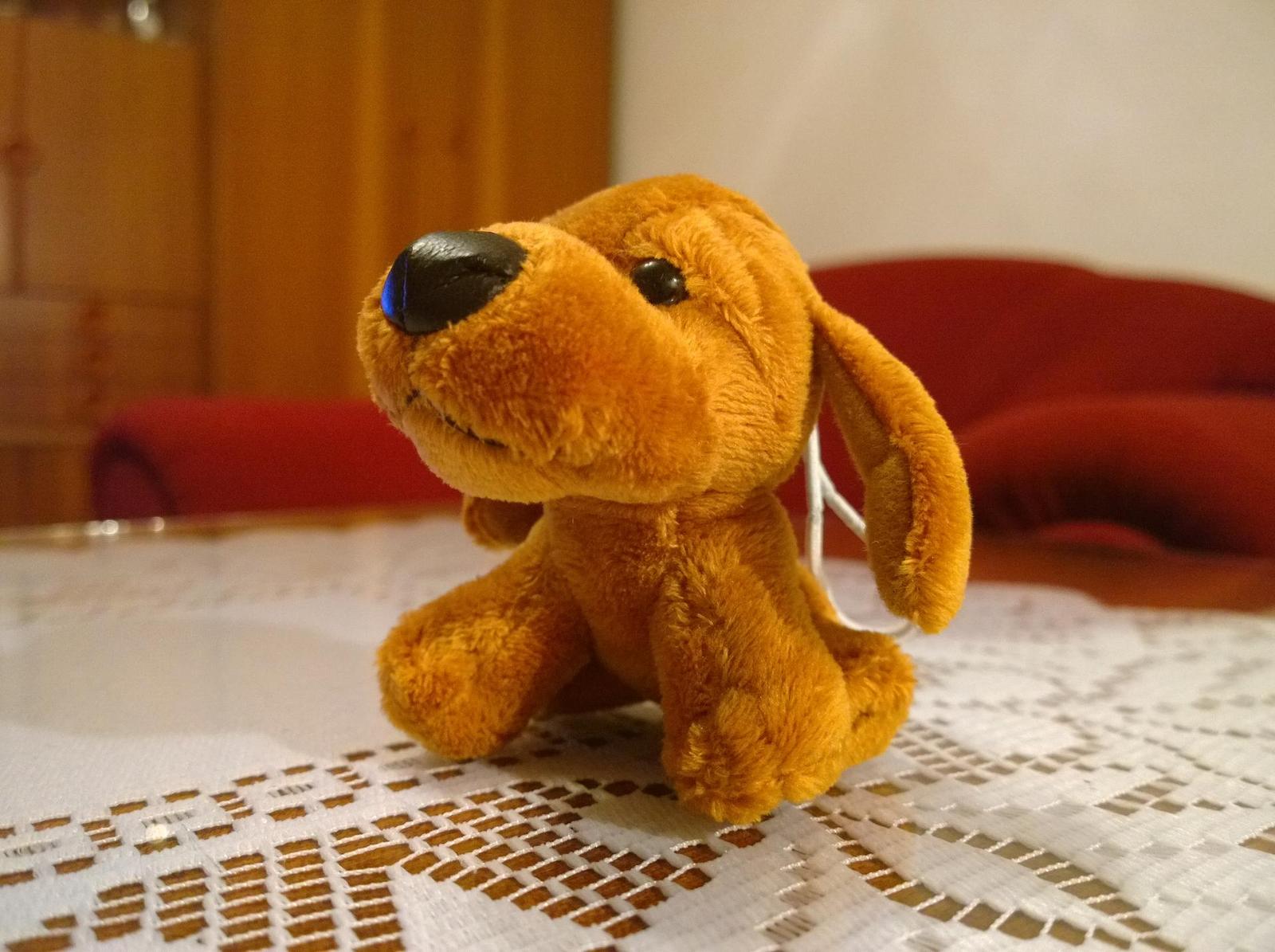 Nokia Lumia 1020 vs. 808 PureView