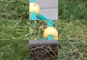 Nikon Coolpix A900: 4K do kapsy