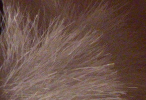 Olympus Stylus XZ-2: jednoduše skvělý