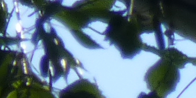 Panasonic Lumix TZ30: pokračovatel slavného rodu?