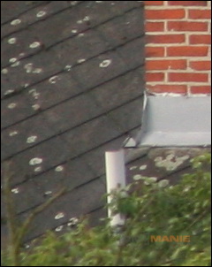 Stativ - nejlepší přítel fotografa