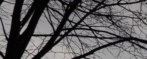 Panasonic Leica DG Vario-Summilux 10-25mm F1.7 ASPH.