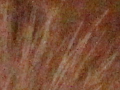 Canon EOS 600D: pokračování rodové linie