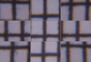 Tamron 16-300mm f/3.5-6.3 Di II VC PZD Macro