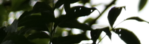 Panasonic Lumix S Pro 70-200mm F4 O.I.S.