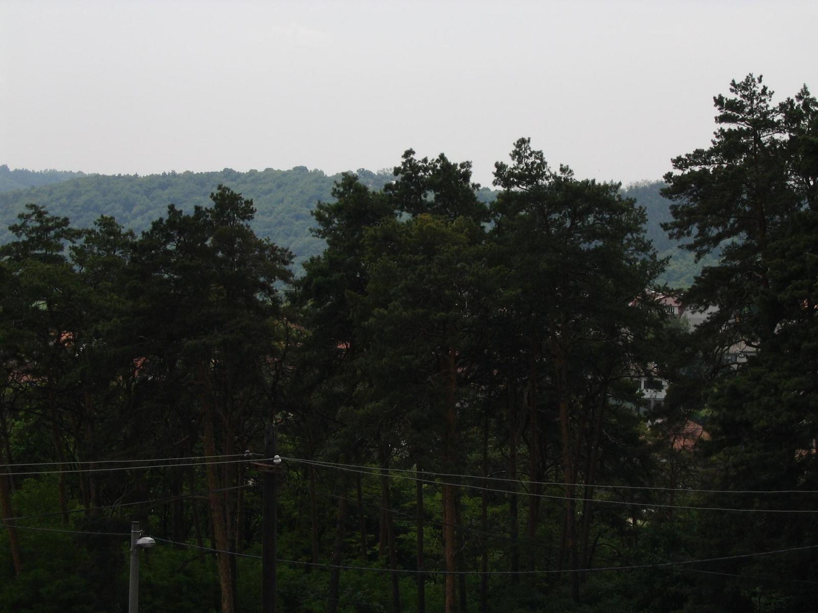 Canon PowerShot A75: S manuálem na věčné časy a nikdy jinak