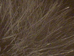 Fujifilm X100: splněný sen