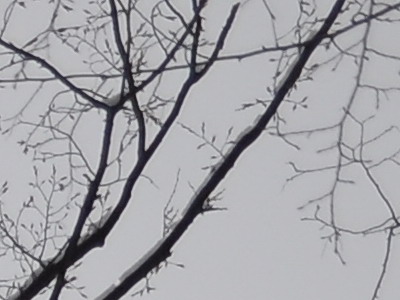 Dva objektivy nebo jeden ultrazoom?