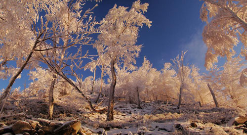 Fotovýzva - 1. kolo Zimní (o)kouzlení: vyhodnocení