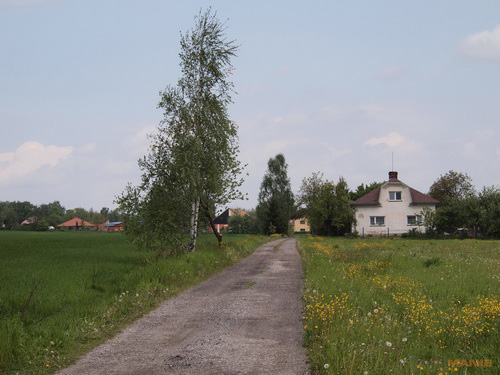 Olympus M.Zuiko Digital 40-150 mm F4-5,6 + nová R verze