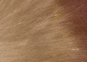 Samsung PL210: levně s grácií