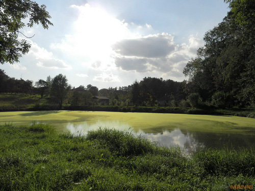 Nikon Coolpix S9100: rudý bojovník