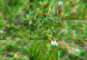 Tamron 16-300mm f/3.5-6.3 Di II VC PZD Macro