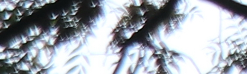 Canon EF-M 15-45mm f/3.5-6.3 IS STM