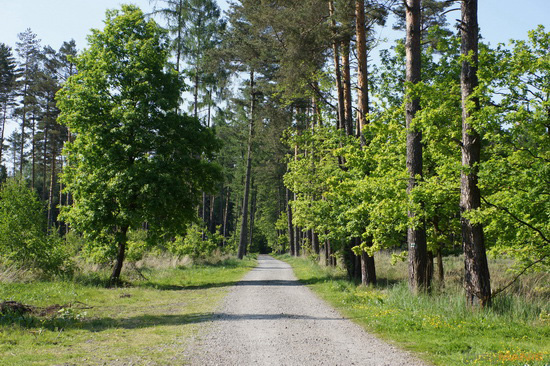 Sony NEX-7: správná (r)evoluce