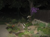 Canon PowerShot A700: Mezi kompaktem a ultrazoomem