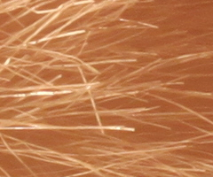 Canon EOS 500D: povedený pokračovatel rodu