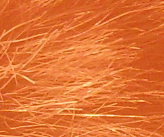 Samsung IT100: kompakt a kamera v jednom