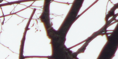 Samsung EX2F: významný krok vpřed