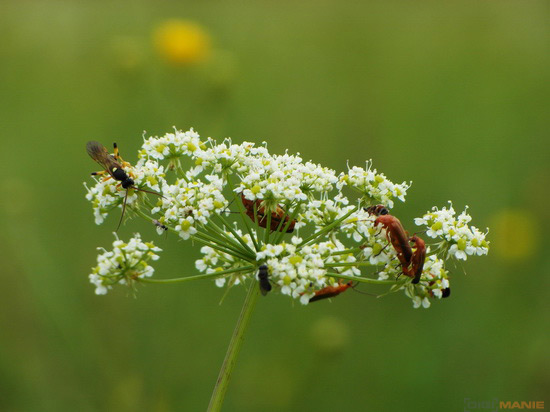 Samsung WB850F: fotící bezdrátová navigace?