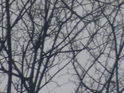 Nokia N8: lepší než kompakt?