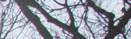 Nikon AF-P NIKKOR 18-55mm f/3.5-5.6G VR