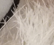 Sony A7R II (ILCE-7RM2): detaily na druhou