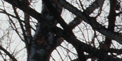 Sony DT 16-50mm F2.8 SSM