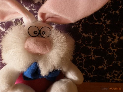 Olympus FE-370: stabilní zoom za hubičku